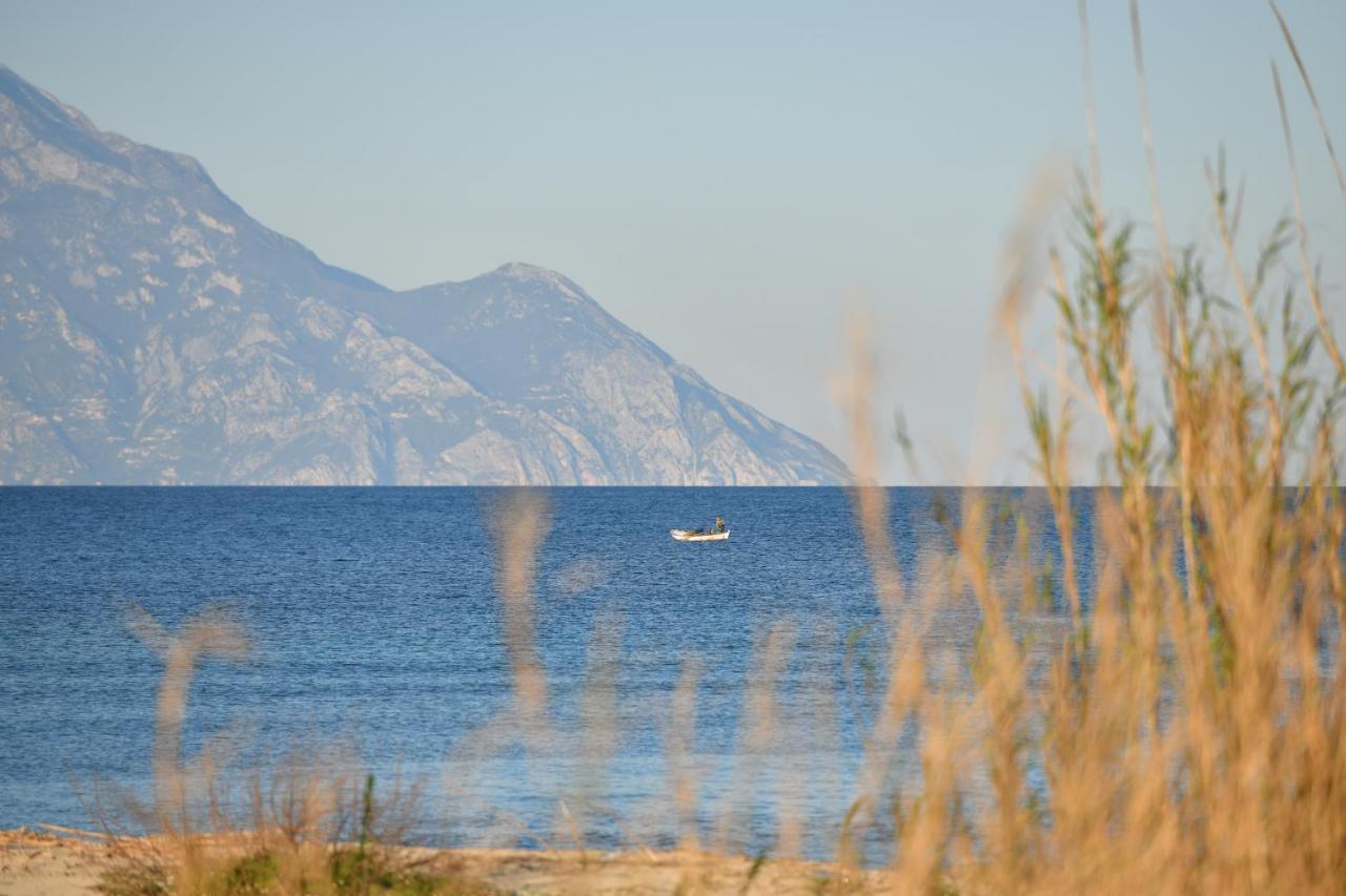 Villa Menie - Golden Fig Sykia Lodge Paralia Sikias Exteriér fotografie