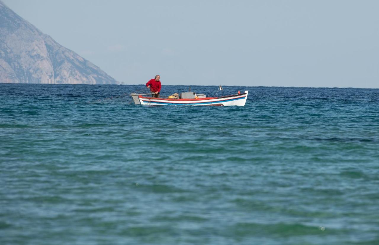 Villa Menie - Golden Fig Sykia Lodge Paralia Sikias Exteriér fotografie